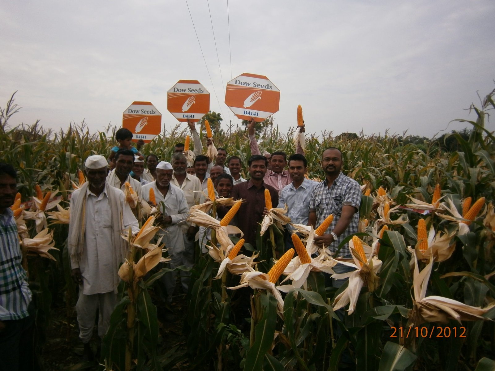 Agri Sector